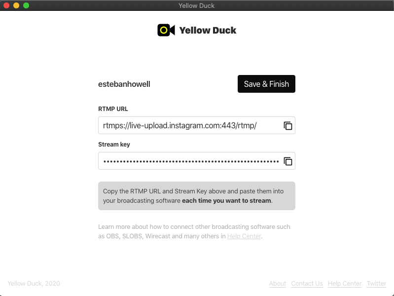 Yellow Duck